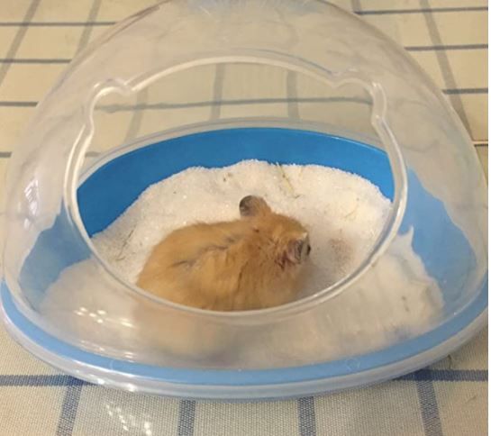 SatisPet Hamster Sand Bathroom-SMALL