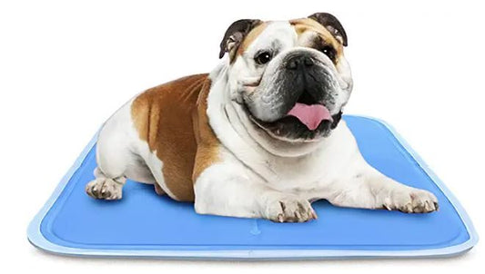 TheGreenPetShop Dog Cooling Mat-10.5"L x 10"