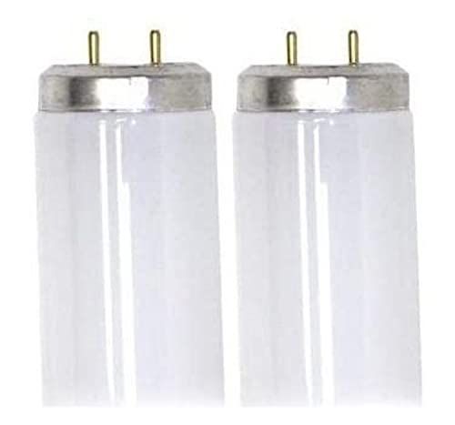 Sterl Lighting - Pack of 2 T12-F20T12/841/H