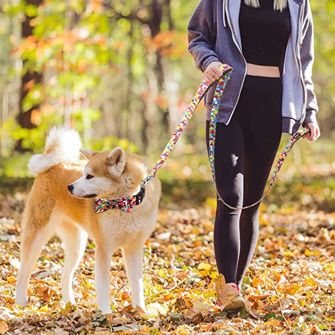 Correa reflectante para perros de 6 pies con