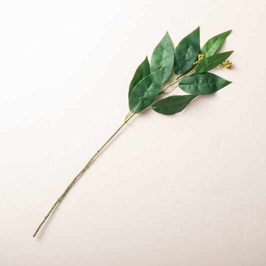 Ramo de 6 hojas de eucalipto de 22"-22"