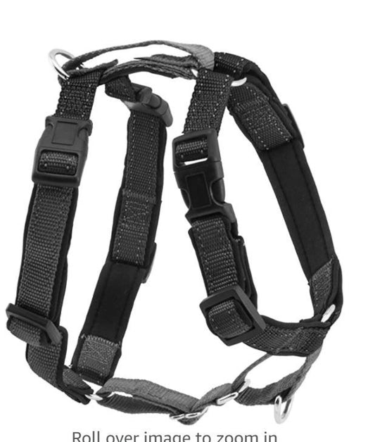 PetSafe 3 in 1 Harness and Car-XS