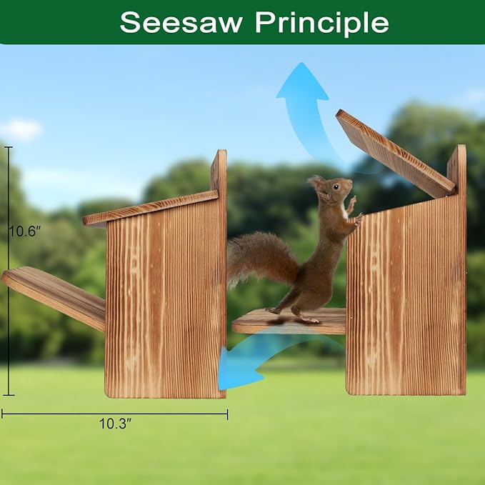 Seesaw Squirrel Feeder