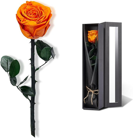 Valentines Day Gifts for Her,Valentines Rose Flowers Birthday Gifts for Women,Valentines Gifts for Wife,Preserved Rose, Preserved Flowers for Delivery Prime, Single Rose Real Rose - Dark Orange Rose