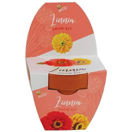 Kit de cultivo Buzzy Classic 7 cm Terracota - Zinnia