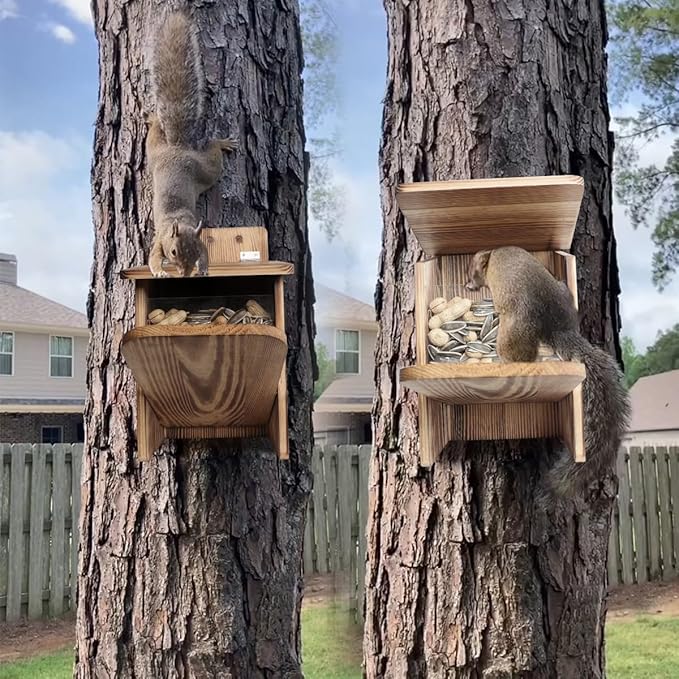 Seesaw Squirrel Feeder