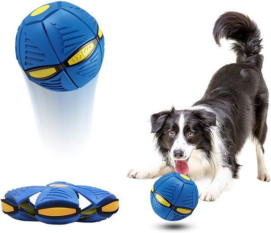 Magic Flying Saucer Ball for Dogs