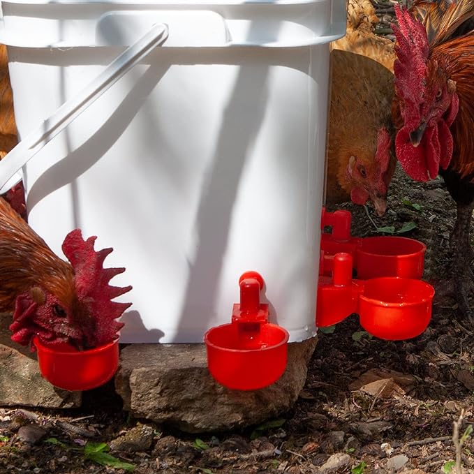 6 Chicken Feeder No Waste Automatic Poultry Feeder Ports Kit and 8 Waterer Set