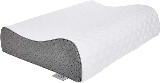 Sealy Memory Foam Contour Pillow, Standard, White
