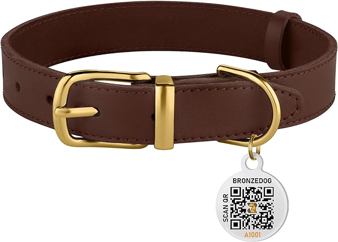 BRONZEDOG Leather Dog Collar with Metal Buckle Durable Basic Pet Collars for Small Medium Large Dogs (19-21 Inch (Pack of 1), Dark Brown & Gold Buckle)