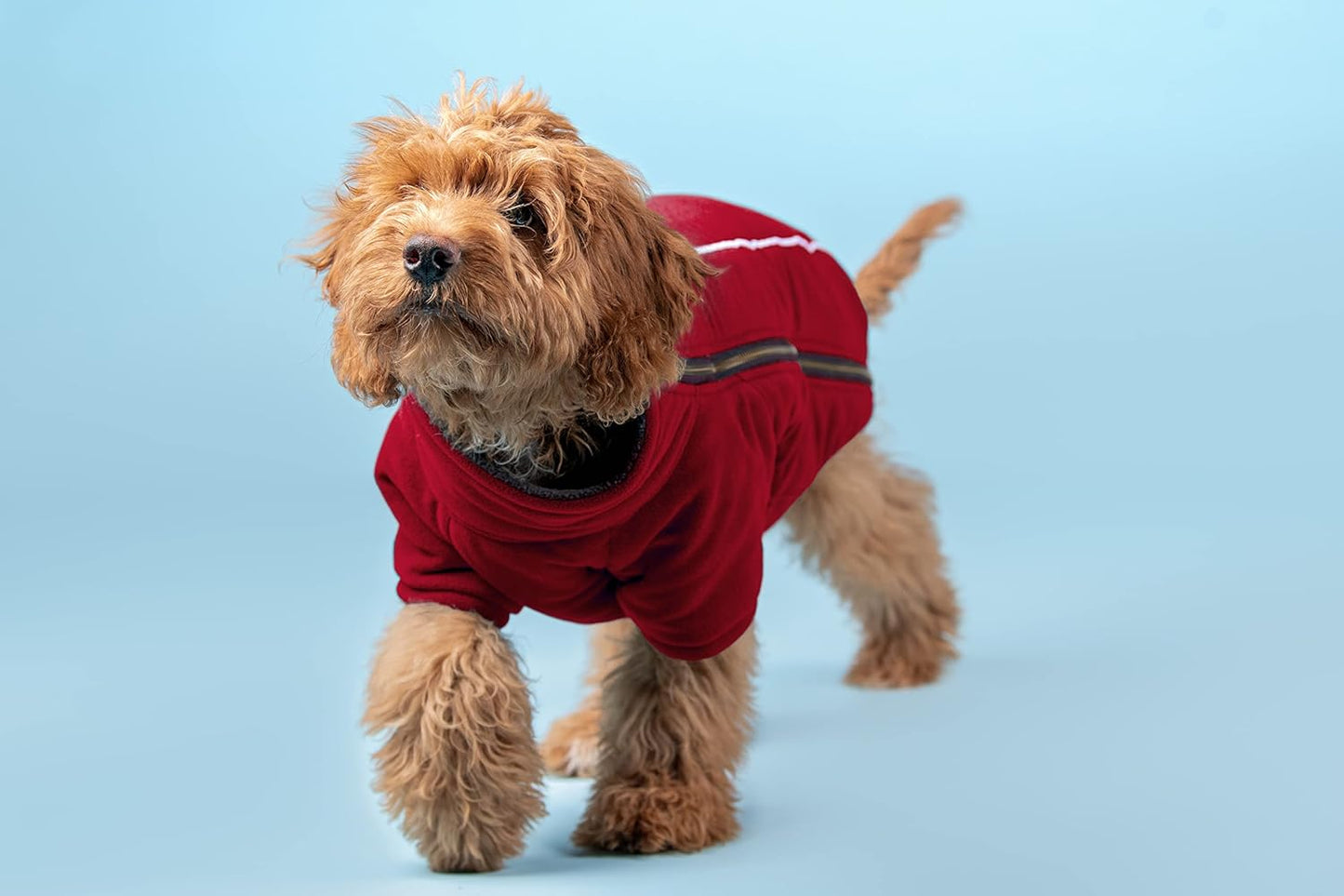 XXL Polar Fleece Warm Dog Jacket