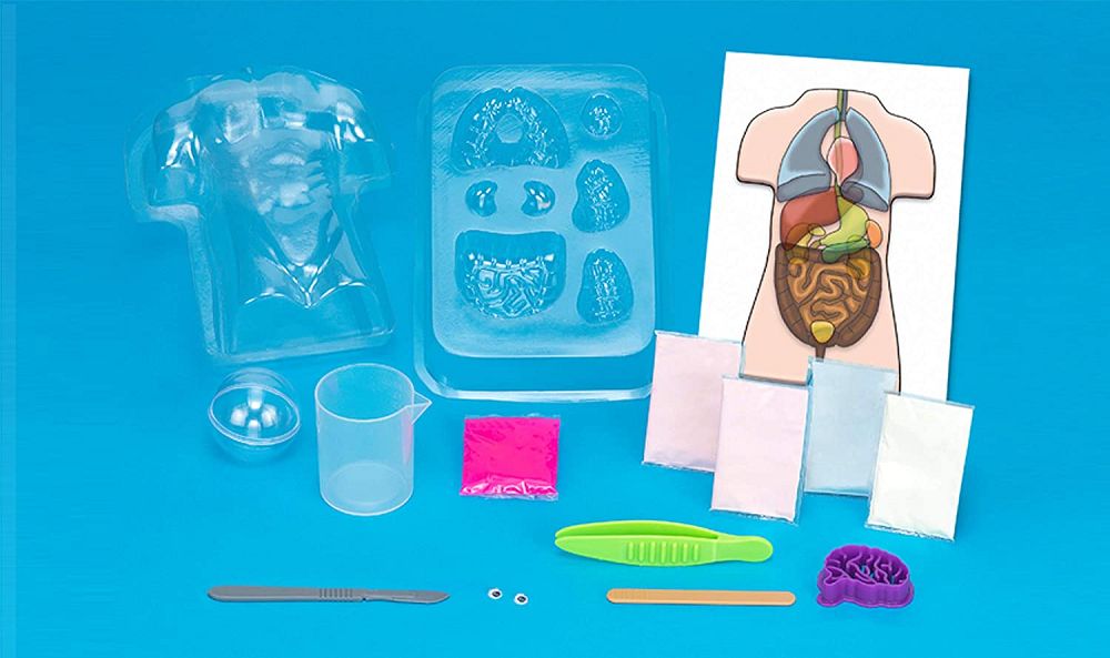 Thames & Kosmos Gross Anatomy: