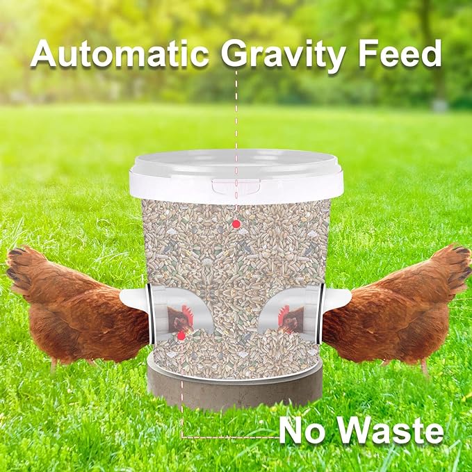 6 Chicken Feeder No Waste Automatic Poultry Feeder Ports Kit and 8 Waterer Set