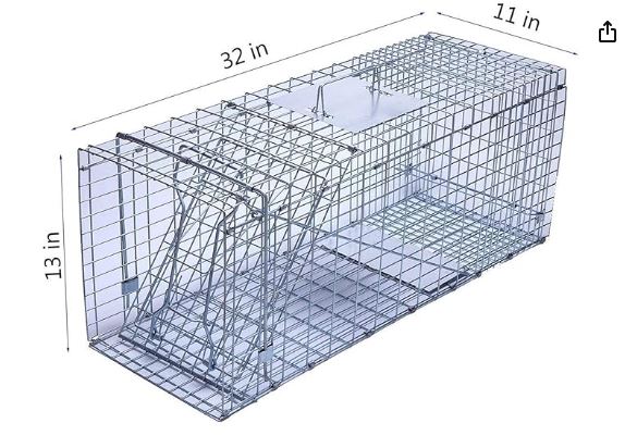 Faicuk Large Collapsible Humane Live Animal Cage Trap for Raccoon, Opossum, Stray Cat, Rabbit, Groundhog and Armadillo - 32" x 11" x 13"
